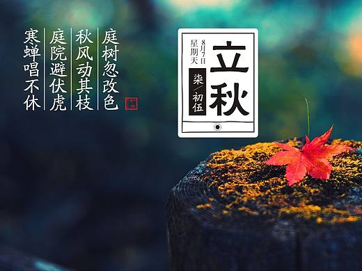 朋友圈海报，微信单片，节气