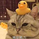 JJJJjust的头像