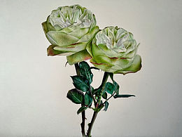 彩鉛畫，說(shuō)它像大頭菜應(yīng)該沒人反對(duì)吧