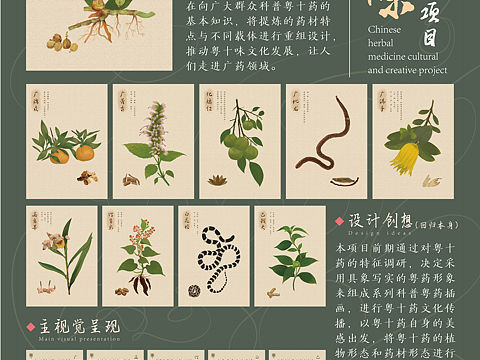 粤十味中草药