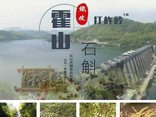 霍山石斛详情介绍