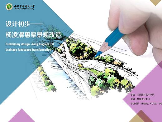 景观设计初步练习