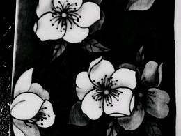 水果插画