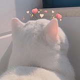 晩晚的头像