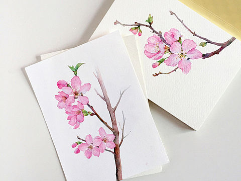 水彩花卉 手绘