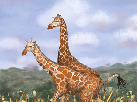 近段时间的插画习作，风格尝试