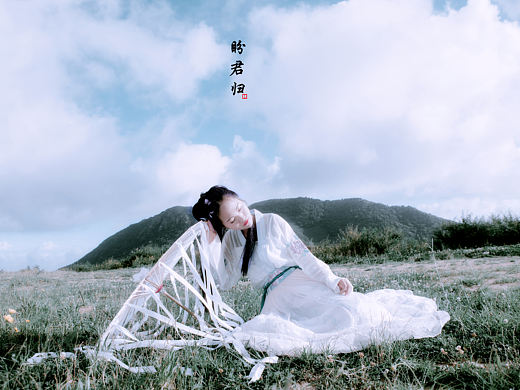 盼君归