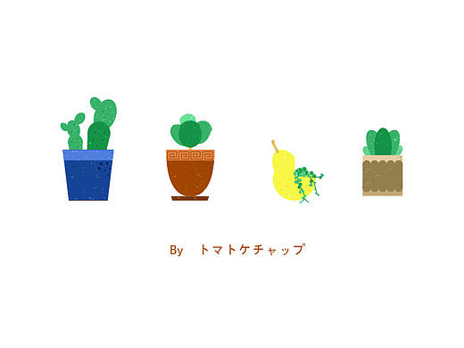 多肉植物