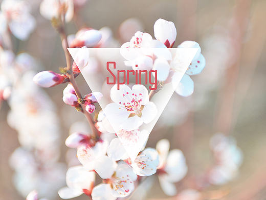 春