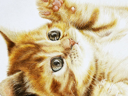 喵~（个人主页-ZMTg5ODczMDA=） - 绘画 - 站酷设计师xuanye1836原创素材 - 站酷ZCOOL