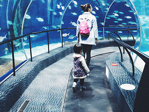 水族馆