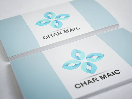 Char Maic百货商品公司LOGO设计