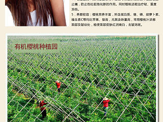 櫻桃詳情頁(yè)（個(gè)人主頁(yè)-ZMzYxMDgwOA==） - 文案/策劃 - 站酷設(shè)計(jì)師記憶幻覺(jué)原創(chuàng)素材 - 站酷ZCOOL