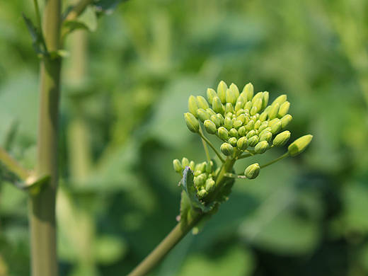 春天摄影（个人主页-ZMjE4NjMzMTI=） - 风光摄影 - 站酷设计师Davi视频设计师原创素材 - 站酷ZCOOL