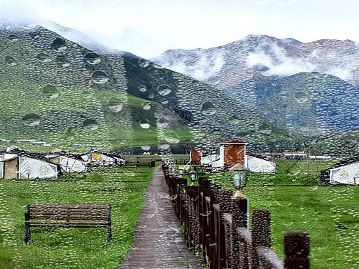 祁连山生态牧场拍”听雨”