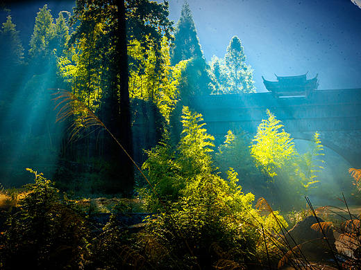 风光组 《梦醒廊桥》七群-胶卷曝光-上海