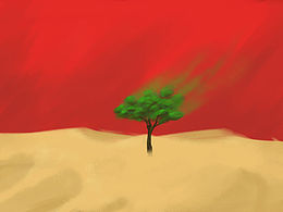 十几年後的第一試未完成