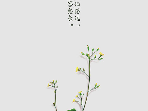 墙角的草