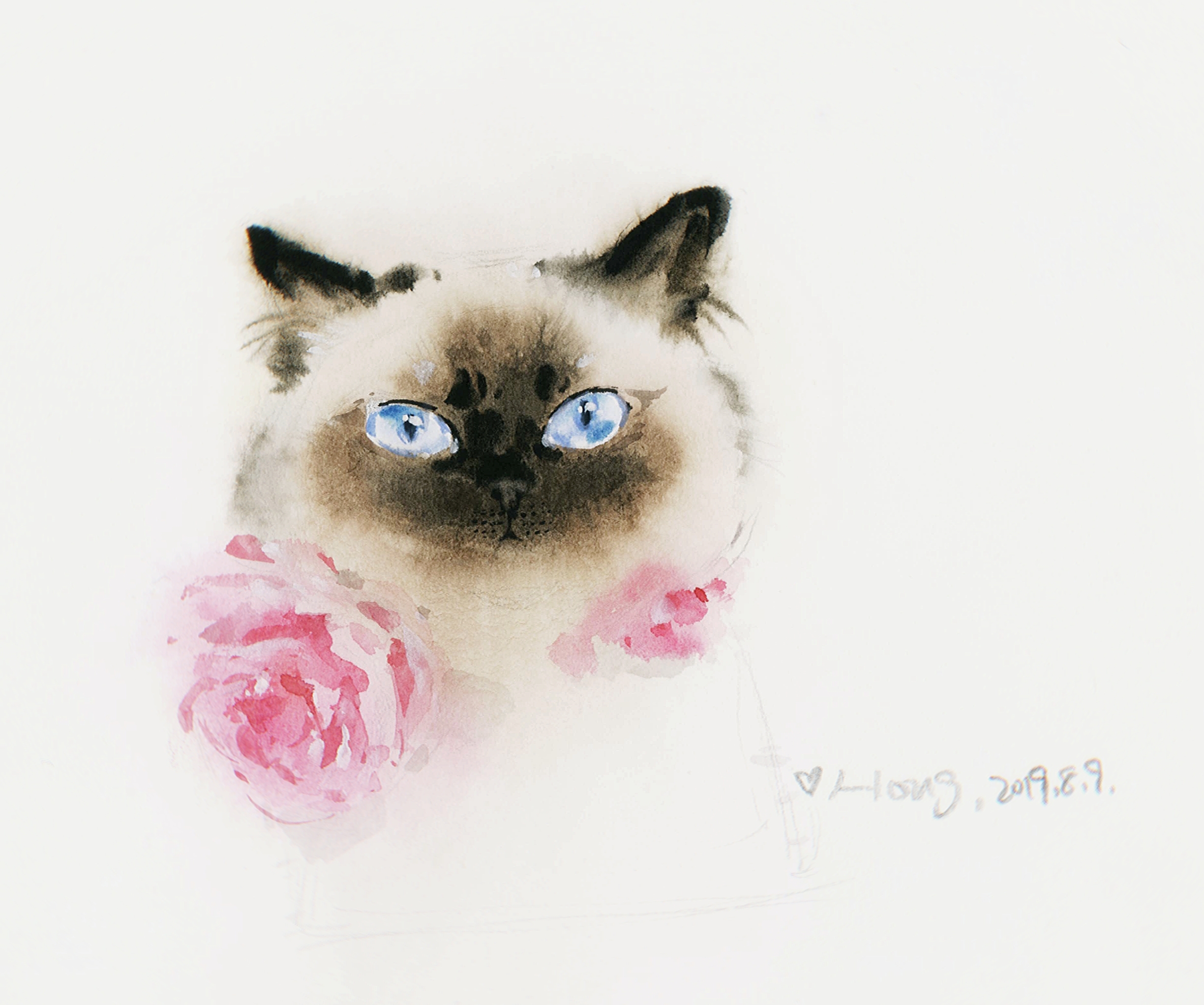 《向日葵的夏天》插画原创设计_带墨镜的猫-站酷ZCOOL