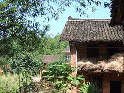 老家的老家的老家