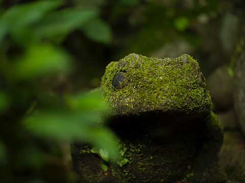 夏天爬上头（个人主页-ZNDQ2ODQ0NjA=） - 风光摄影 - 站酷设计师Stevon_SeyMour原创素材 - 站酷ZCOOL