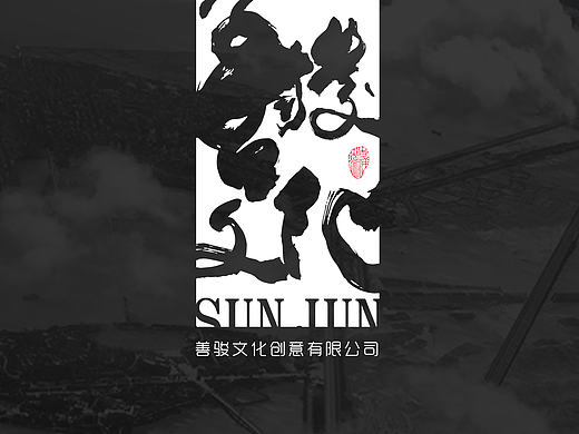 公司简介画册排版