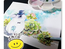 龙猫与多肉第四幅