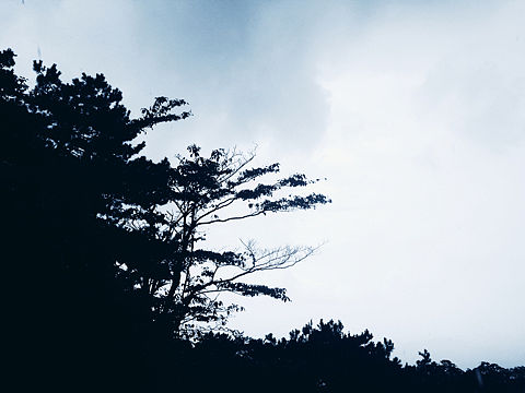 庐山（个人主页-ZMjk3MDcyOTY=） - 风光摄影 - 站酷设计师帅逼正是朕原创素材 - 站酷ZCOOL