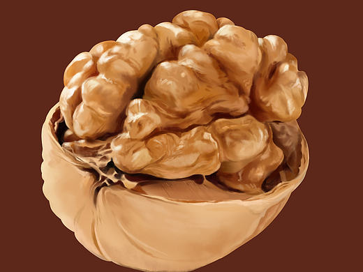 包装产品插画（个人主页-ZMTg1NDQzODA=） - 商业插画 - 站酷设计师草木绘原创素材 - 站酷ZCOOL