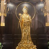 朴园二狗的头像