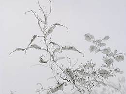 国画