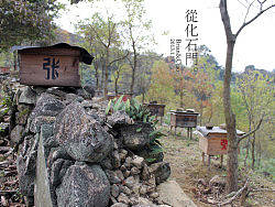 山边的蜜蜂箱