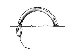 纹身稿设计：蛇