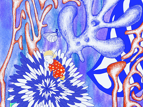 珊瑚植物插画