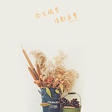 huangRZ的头像