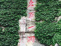 师父，前面有个洞，有妖气！