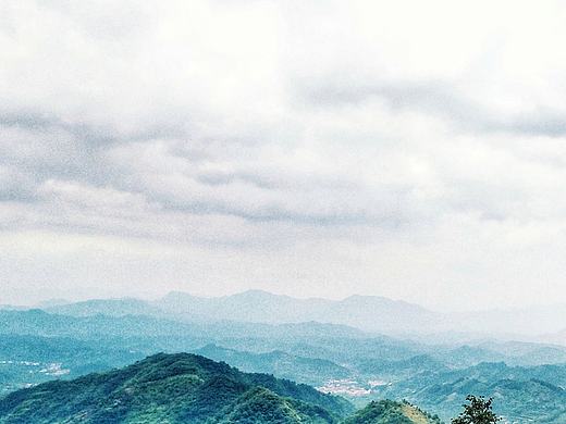 手机拍图 风光无限好