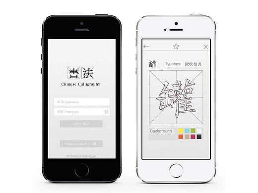 公司项目介绍