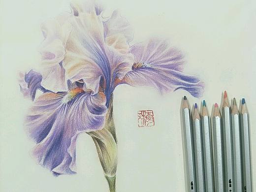 『君子兰』（个人主页-ZMzIyMzgwNTY=） - 绘画 - 站酷设计师麻雀仙子原创素材 - 站酷ZCOOL