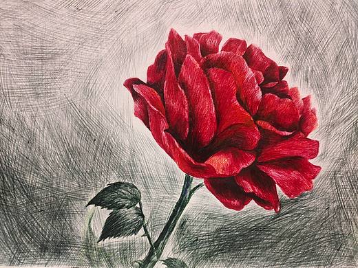 画玫瑰练习2