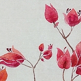 qinart黄英琴的头像