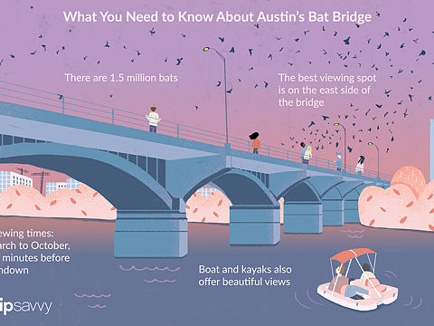 Bat Bridge