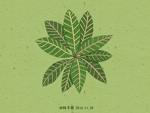 一组植物练习