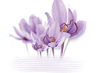 化妝品包裝設(shè)計 面膜（個人主頁-ZNTQzNTE2MA==） - 包裝 - 站酷設(shè)計師海遲原創(chuàng)素材 - 站酷ZCOOL