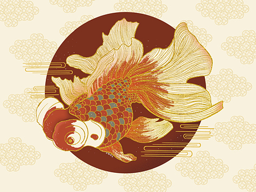 【插画练习|国风锦鲤】