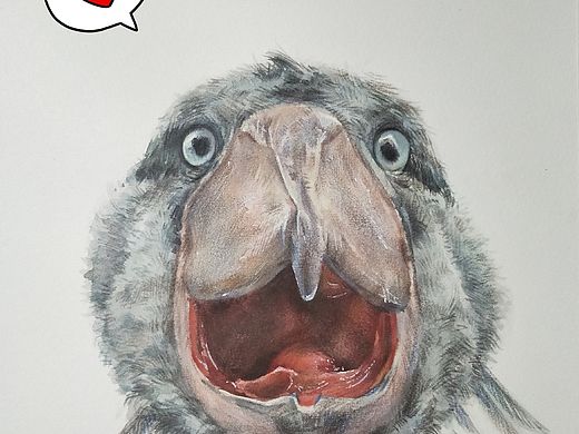 鲸头鹳小可爱〃∀〃