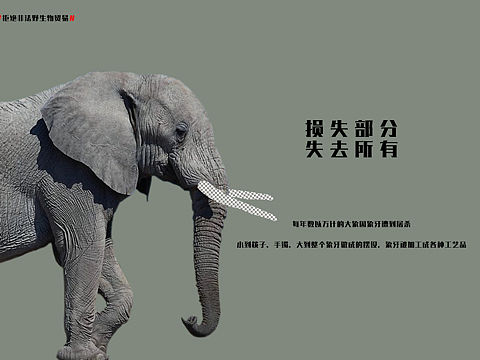 保护动物 公益海报