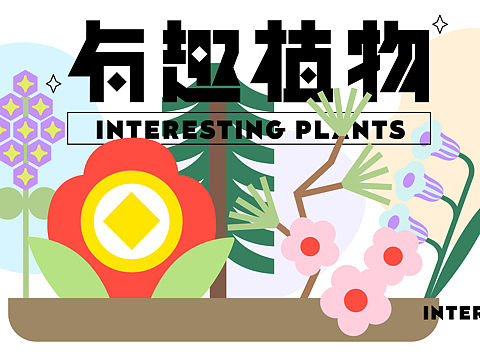 有趣植物 海报字体设计
