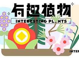 海报字体