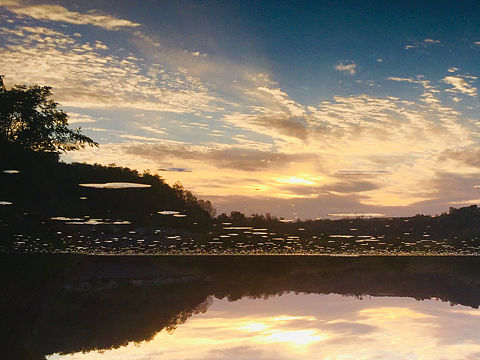 泡沫星河